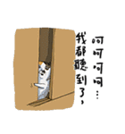 eh！cat！8（個別スタンプ：13）