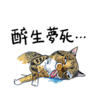 eh！cat！8（個別スタンプ：16）