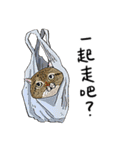 eh！cat！8（個別スタンプ：22）