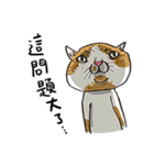 eh！cat！8（個別スタンプ：23）