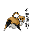 eh！cat！8（個別スタンプ：27）