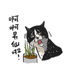 eh！cat！8（個別スタンプ：30）