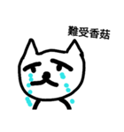 Speechless cat（個別スタンプ：13）