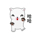 Fun white dog（個別スタンプ：1）