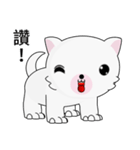 Fun white dog（個別スタンプ：5）