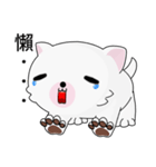 Fun white dog（個別スタンプ：6）