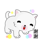 Fun white dog（個別スタンプ：8）