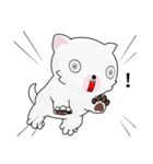 Fun white dog（個別スタンプ：13）