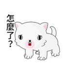 Fun white dog（個別スタンプ：16）