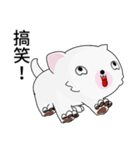 Fun white dog（個別スタンプ：22）