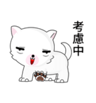 Fun white dog（個別スタンプ：23）