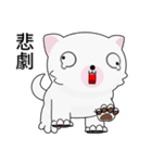 Fun white dog（個別スタンプ：27）