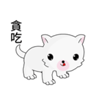 Fun white dog（個別スタンプ：38）