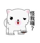 Fun white dog（個別スタンプ：39）