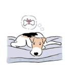 WIRE FOX TERRIER LIFE ＆ LOVES（個別スタンプ：33）