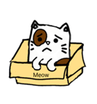 Ow, No！ A slacker cat appears？（個別スタンプ：22）