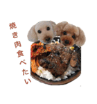 oreo ＆ beni  meat（個別スタンプ：1）