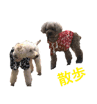 oreo ＆ beni  meat（個別スタンプ：20）