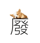 Kobi The Corgi II（個別スタンプ：30）