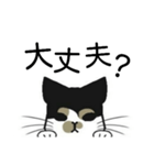 三毛猫は尋ねたい（個別スタンプ：1）