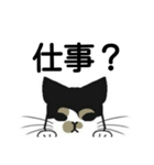 三毛猫は尋ねたい（個別スタンプ：2）