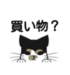 三毛猫は尋ねたい（個別スタンプ：3）