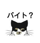 三毛猫は尋ねたい（個別スタンプ：5）