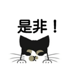 三毛猫は尋ねたい（個別スタンプ：6）