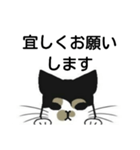 三毛猫は尋ねたい（個別スタンプ：7）