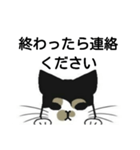 三毛猫は尋ねたい（個別スタンプ：8）