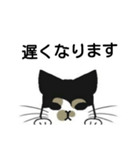 三毛猫は尋ねたい（個別スタンプ：9）