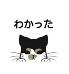 三毛猫は尋ねたい（個別スタンプ：10）