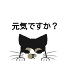 三毛猫は尋ねたい（個別スタンプ：15）