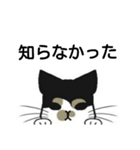 三毛猫は尋ねたい（個別スタンプ：17）