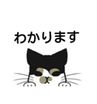 三毛猫は尋ねたい（個別スタンプ：19）