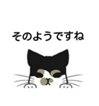 三毛猫は尋ねたい（個別スタンプ：20）