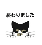 三毛猫は尋ねたい（個別スタンプ：21）