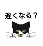 三毛猫は尋ねたい（個別スタンプ：24）