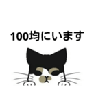 三毛猫は尋ねたい（個別スタンプ：27）