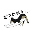 三毛猫は尋ねたい（個別スタンプ：30）