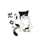 三毛猫は尋ねたい（個別スタンプ：32）