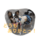 We are the Chihua -WANDS！（個別スタンプ：12）