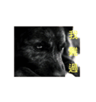 Asa is a mix dog（個別スタンプ：1）