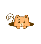 Hello Smile dog（個別スタンプ：1）