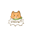 Hello Smile dog（個別スタンプ：21）