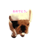 愛犬いちろう（個別スタンプ：6）