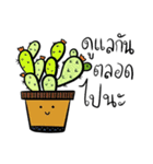 cactus languages v.2（個別スタンプ：8）