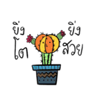 cactus languages v.2（個別スタンプ：19）