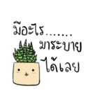 cactus languages v.2（個別スタンプ：27）