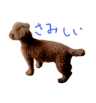 フラン the dog（個別スタンプ：4）